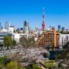 六本木で胡蝶蘭を贈るには？上質な花を選ぶためのポイントや購入方法などを紹介