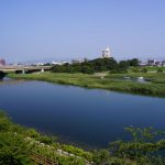 愛知県豊橋市は胡蝶蘭の産地！おすすめのフラワーショップもご紹介