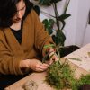 胡蝶蘭を苔玉で育ててみよう！作り方と育て方のコツを紹介